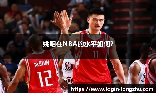 龙珠体育